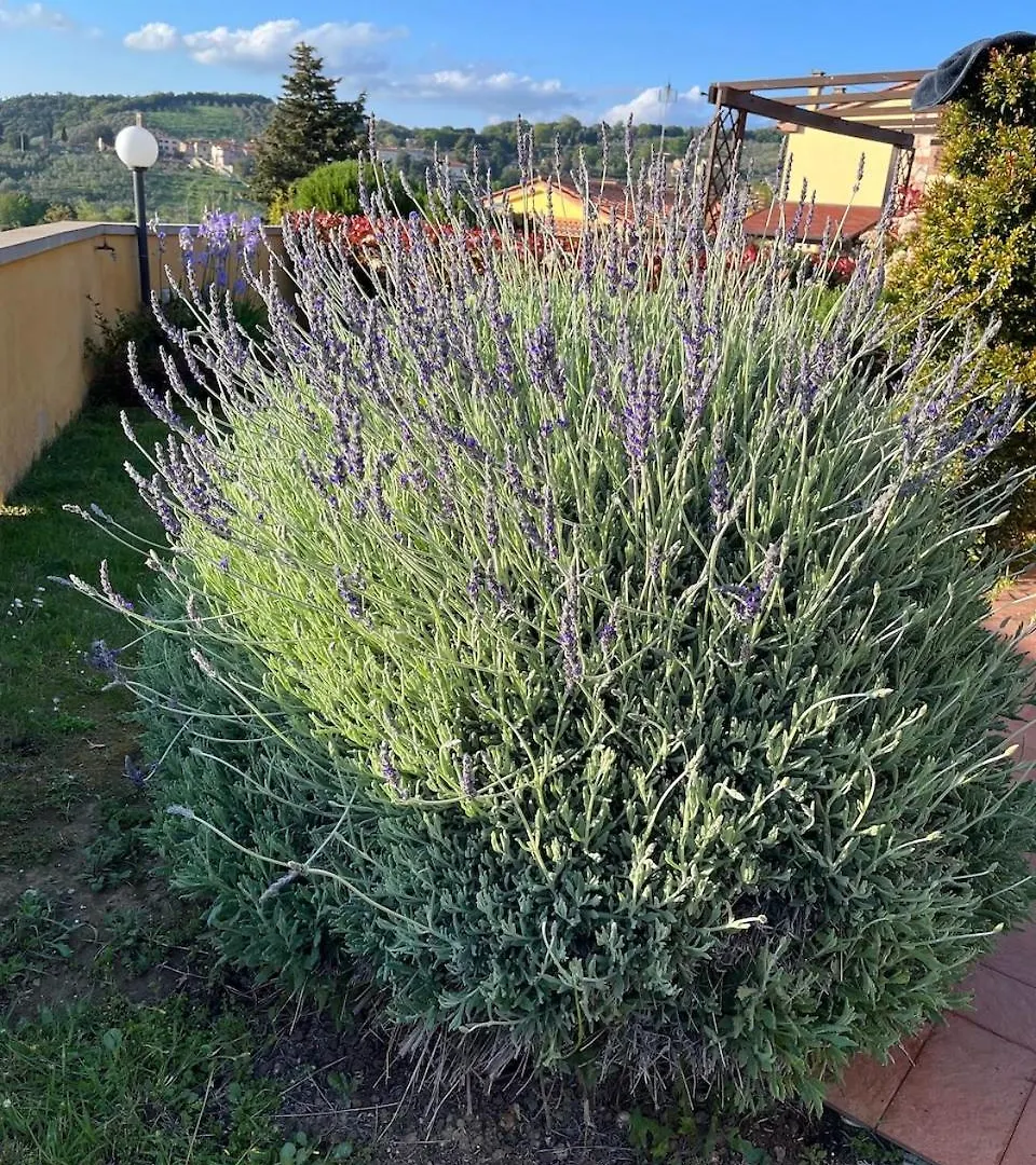 Holiday home La Casita De La Luz Villa Santa Luce Italy